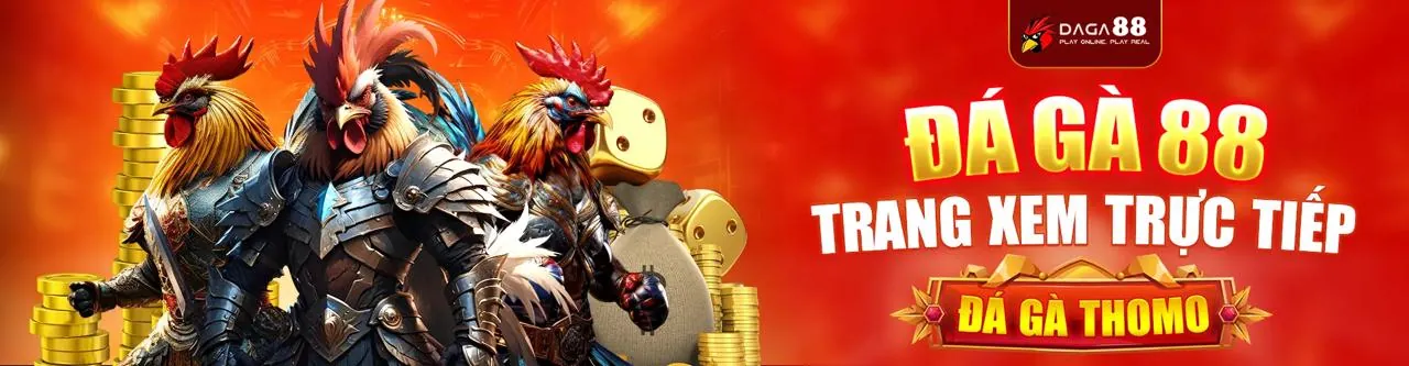 Đá gà trực tuyến kịch tính tại banca28 khuyến mãi